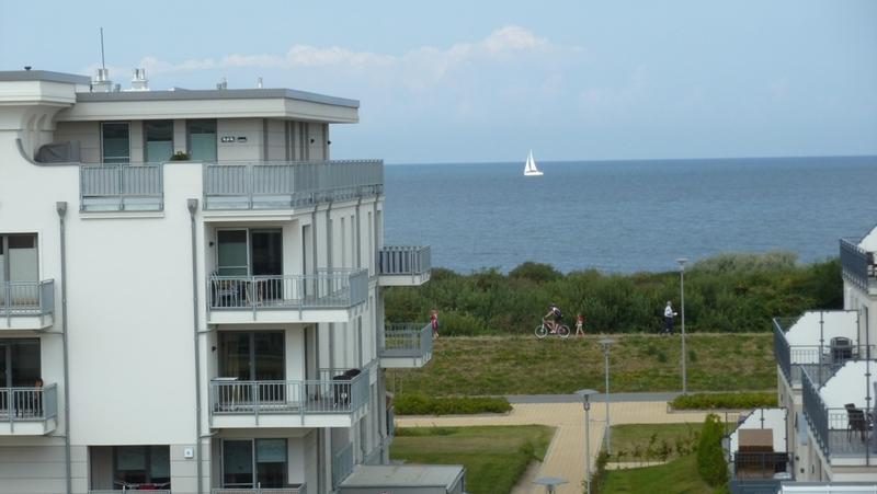 Sanddorn -