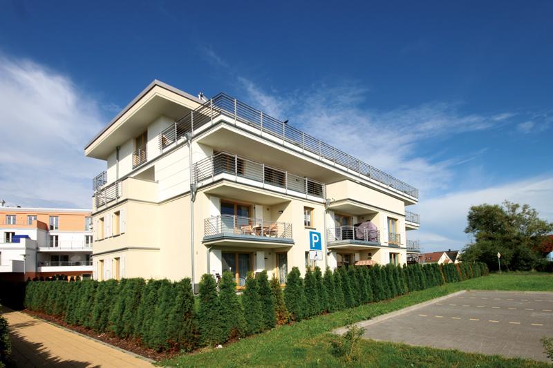 Sanddorn -